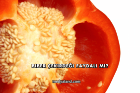 Biber Çekirdeği Faydalı mı?