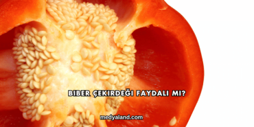 Biber Çekirdeği Faydalı mı?