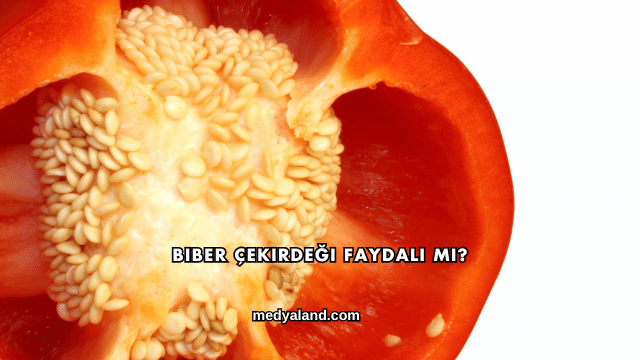 Biber Çekirdeği Faydalı mı?