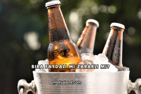 Bira Faydalı mı Zararlı mı?