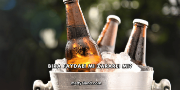 Bira Faydalı mı Zararlı mı?