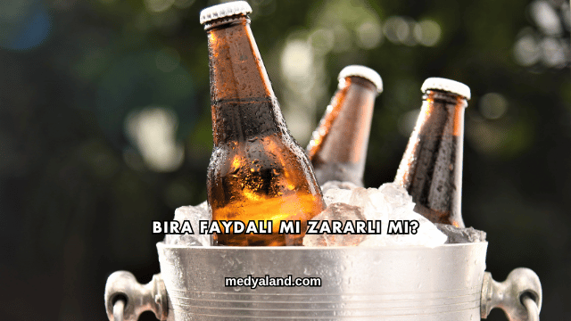 Bira Faydalı mı Zararlı mı?