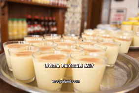 Boza Faydalı mı?