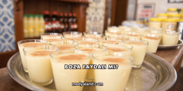Boza Faydalı mı?