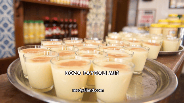 Boza Faydalı mı?