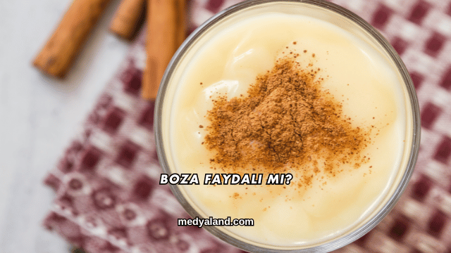 Boza Faydalı mı?