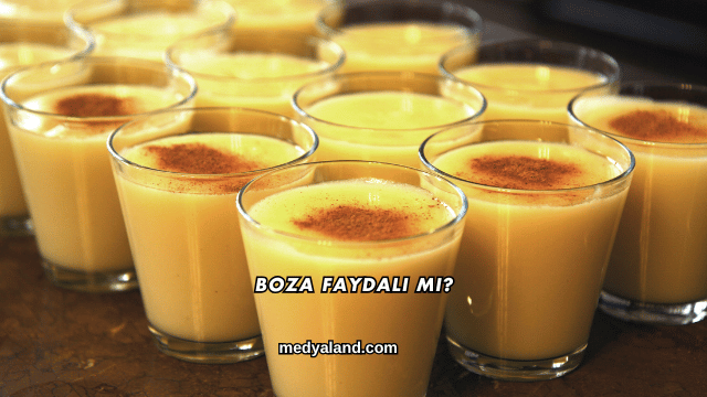 Boza Faydalı mı?