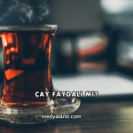 Çay Faydalı mı?