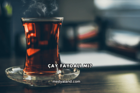 Çay Faydalı mı?