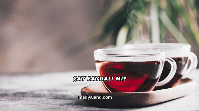 Çay Faydalı mı?