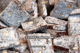 Cezerye Faydalı mı?