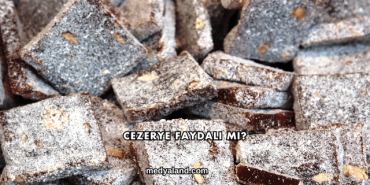 Cezerye Faydalı mı?