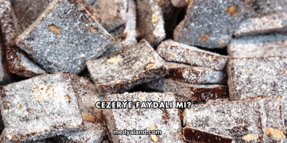 Cezerye Faydalı mı?