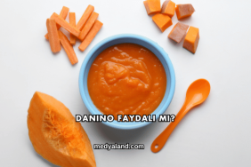 Danino Faydalı mı?