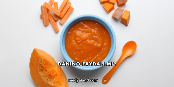 Danino Faydalı mı?