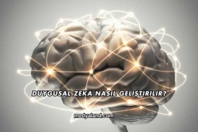 Duygusal Zeka Nasıl Geliştirilir?