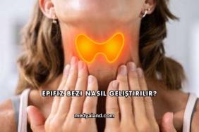 Epifiz Bezi Nasıl Geliştirilir?