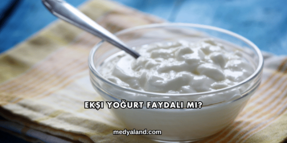 Ekşi Yoğurt Faydalı mı?