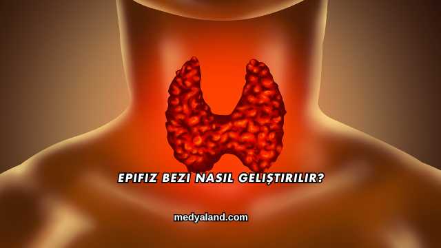 Epifiz Bezi Nasıl Geliştirilir?