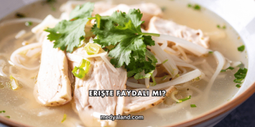 Erişte Faydalı mı?