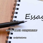 Essay Nasıl Geliştirilir?