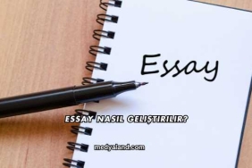 Essay Nasıl Geliştirilir?