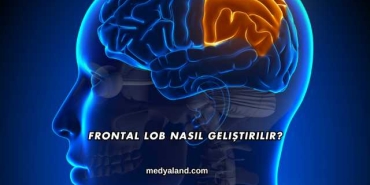 Frontal Lob Nasıl Geliştirilir?