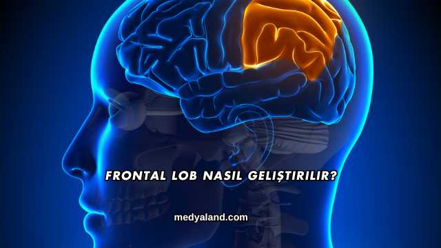 Frontal Lob Nasıl Geliştirilir?