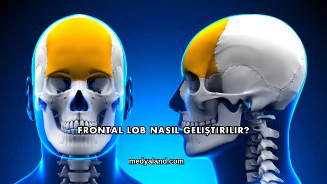 Frontal Lob Nasıl Geliştirilir?