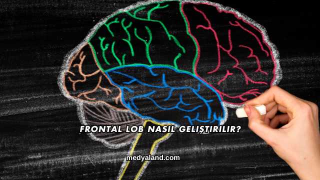 Frontal Lob Nasıl Geliştirilir?