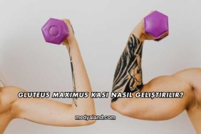 Gluteus Maximus Kası Nasıl Geliştirilir?