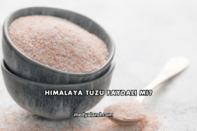 Himalaya Tuzu Faydalı mı?