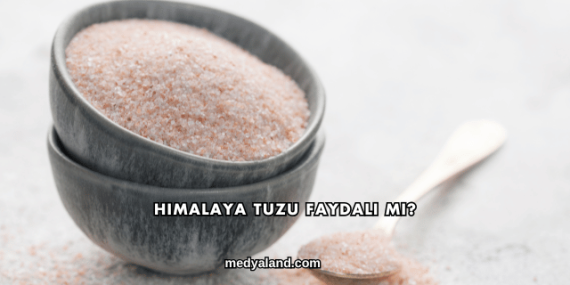 Himalaya Tuzu Faydalı mı?