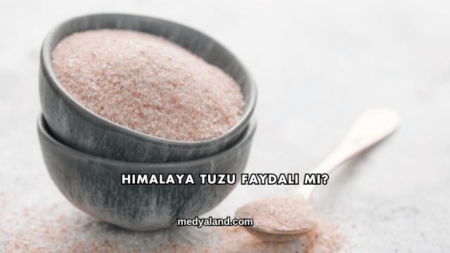 Himalaya Tuzu Faydalı mı?