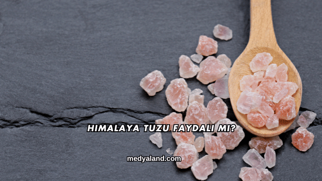 Himalaya Tuzu Faydalı mı?