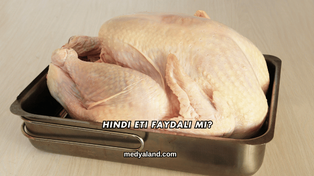 Hindi Eti Faydalı mı?