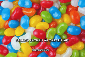 Jelibon Faydalı mı Zararlı mı?