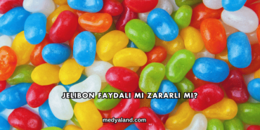Jelibon Faydalı mı Zararlı mı?