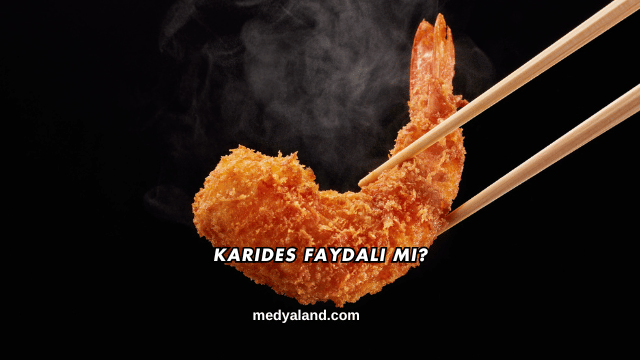 Karides Faydalı mı?