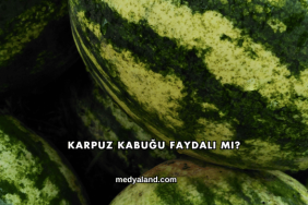 Karpuz Kabuğu Faydalı mı?