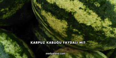 Karpuz Kabuğu Faydalı mı?