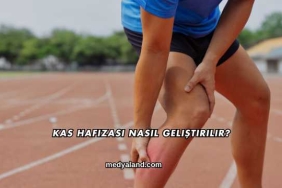 Kas Hafızası Nasıl Geliştirilir?