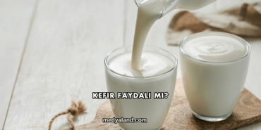 Kefir Faydalı mı?