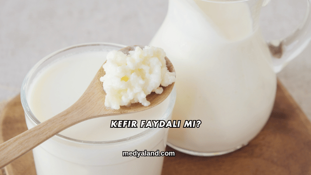 Kefir Faydalı mı?