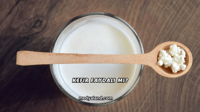 Kefir Faydalı mı?