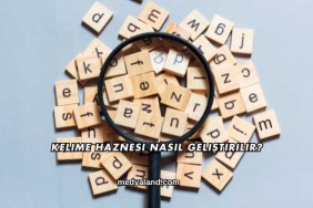 Kelime Haznesi Nasıl Geliştirilir?