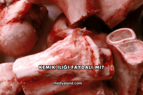 Kemik İliği Faydalı mı?