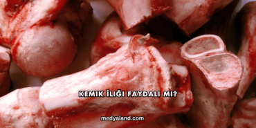 Kemik İliği Faydalı mı?