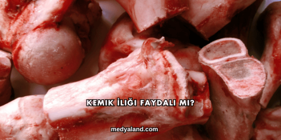 Kemik İliği Faydalı mı?