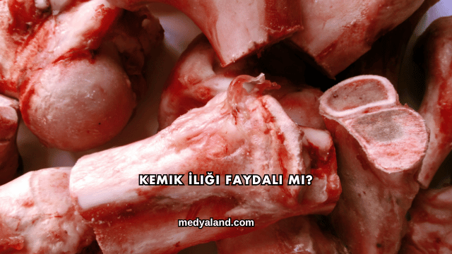 Kemik İliği Faydalı mı?